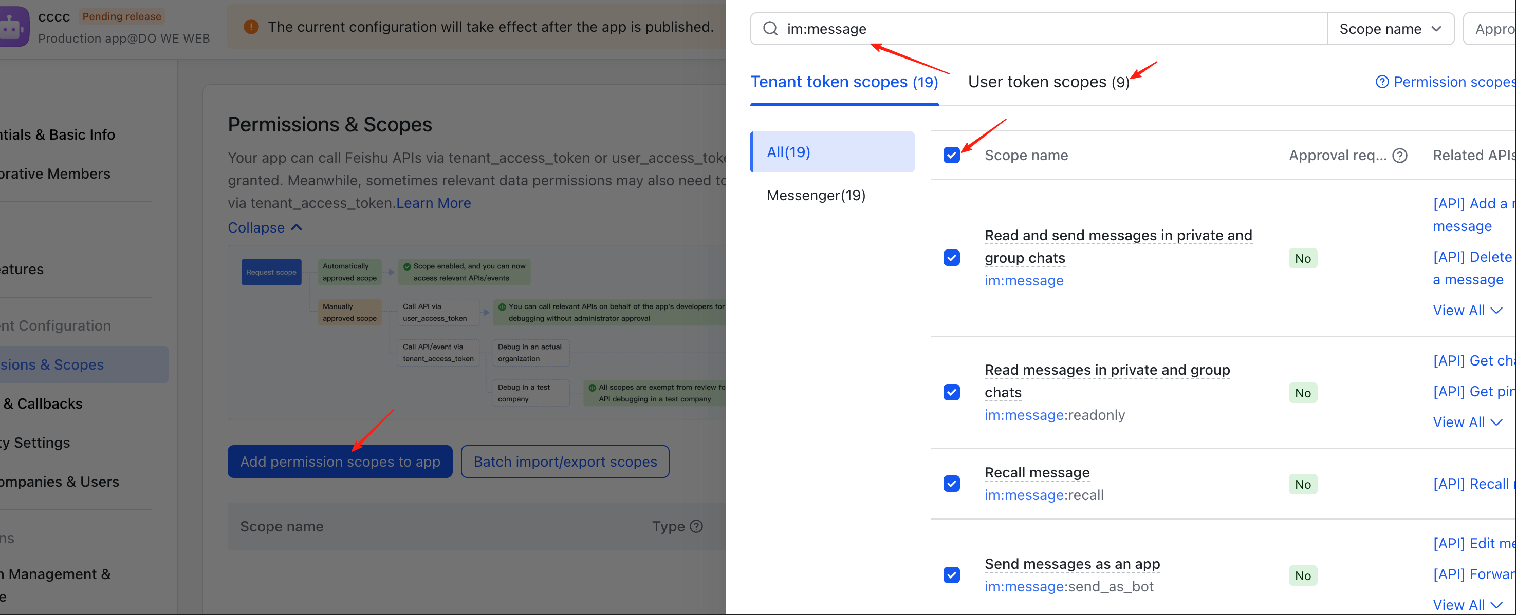 Feishu Permissions Configuration